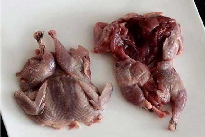 Cách chuẩn bị thịt chim bồ câu