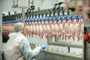 Bộ Thương mại Thái Lan đang đặt mục tiêu tăng 10% xuất khẩu thịt gà trong năm nay sau khi COVID-19 đã lắng xuống